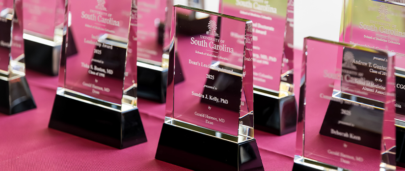 2025 award ceremony banner