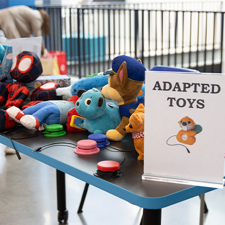 Adapted toys