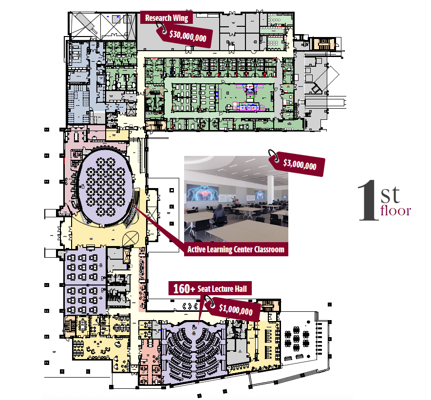 spotlight callout placeholder image