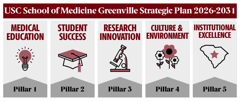 SOMG Strategic Plan Pillars