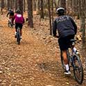 Students riding mountain bikes in a forest.