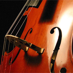 Cello Closeup