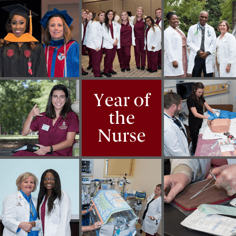 year of the nurse