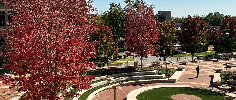 View of Greenville campus from window