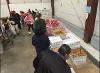 SNG students volunteering with Harvest Hope