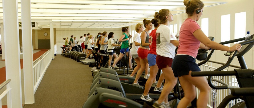 Row of people working out on cardio equipment