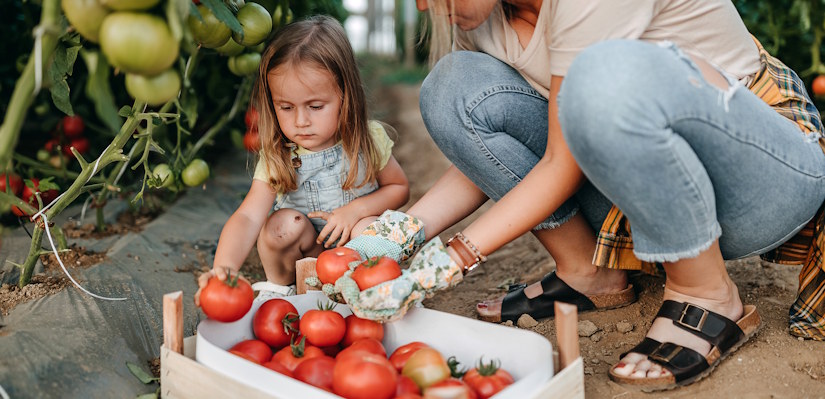 little girls with tomatoes
