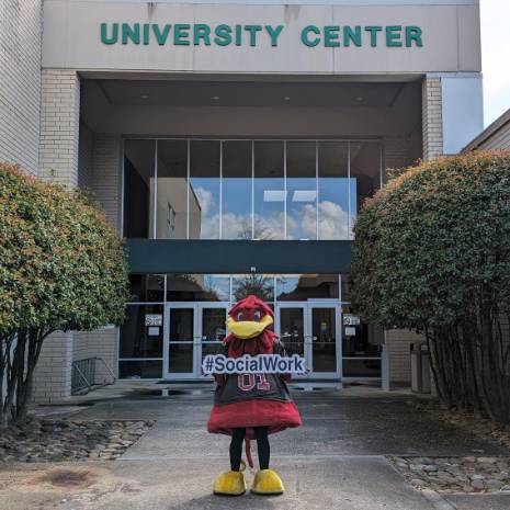 cocky outside greenville