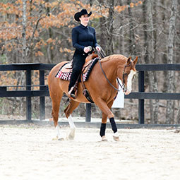 Quinn Brandt on horseback