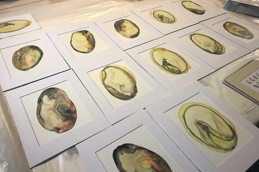 Studio art professor Sara Schneckloth chronicled the growth of bean seeds as part of her work for the Svaldbard Global Seed Vault. She used watercolor, colored pencils, wax and ink. 
