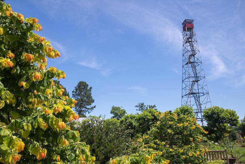 Lookout tower