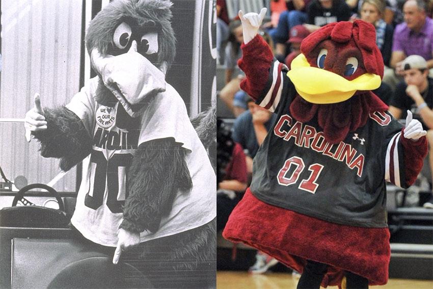 The left image is Cocky in 1985 and the photo on the left is of Cocky today.