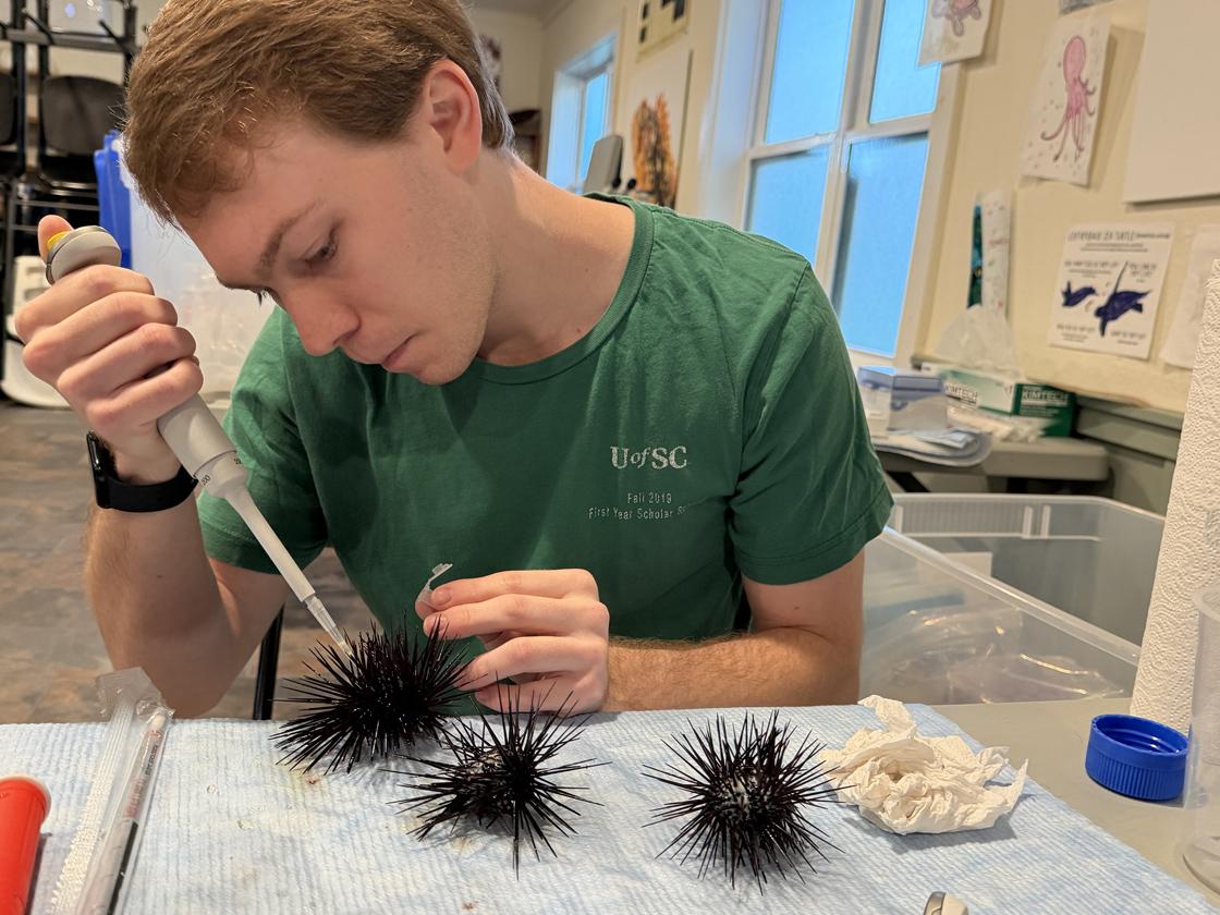 Grayson Fletcher, M3, collects samples to analyze sea urchin sperm motility.