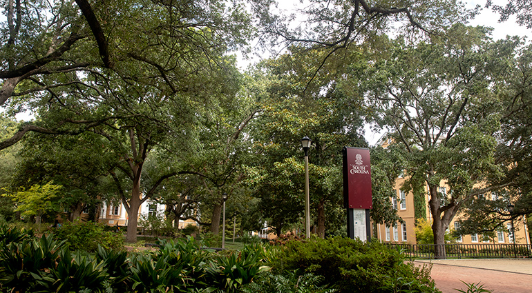 Gibbes Greene in 2018 with many trees