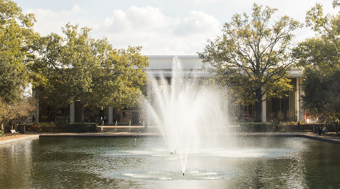 Thomas Cooper Library in 2018