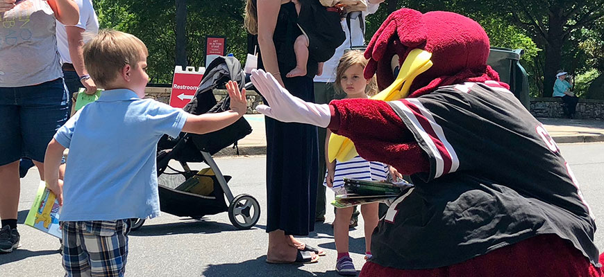 Cocky gives a young child a high five on Main Street in Greenville