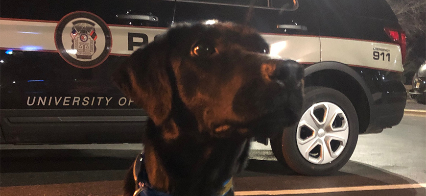 One of the two new K9 officers at UofSC in front of a police vehicle at night