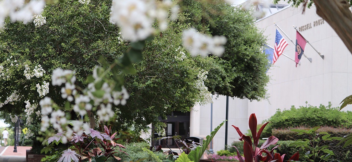 The Russell House Building in focus artistically peaking through out of focus foliage 