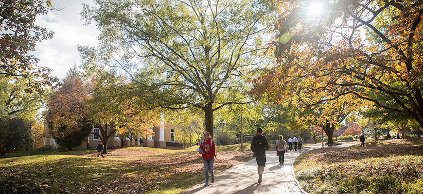 UofSC campus in the autumn sunshine