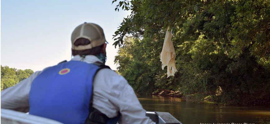 man drives boat on the river toward a plastic bag hanging from a tree branch