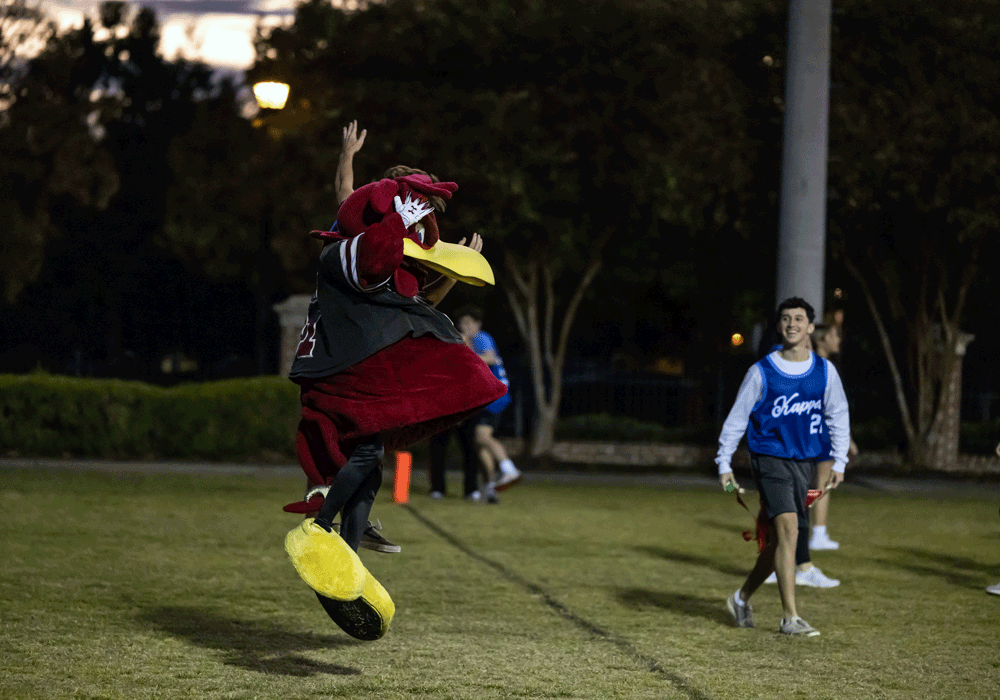 Cocky jumps as a team plays powderpuff.