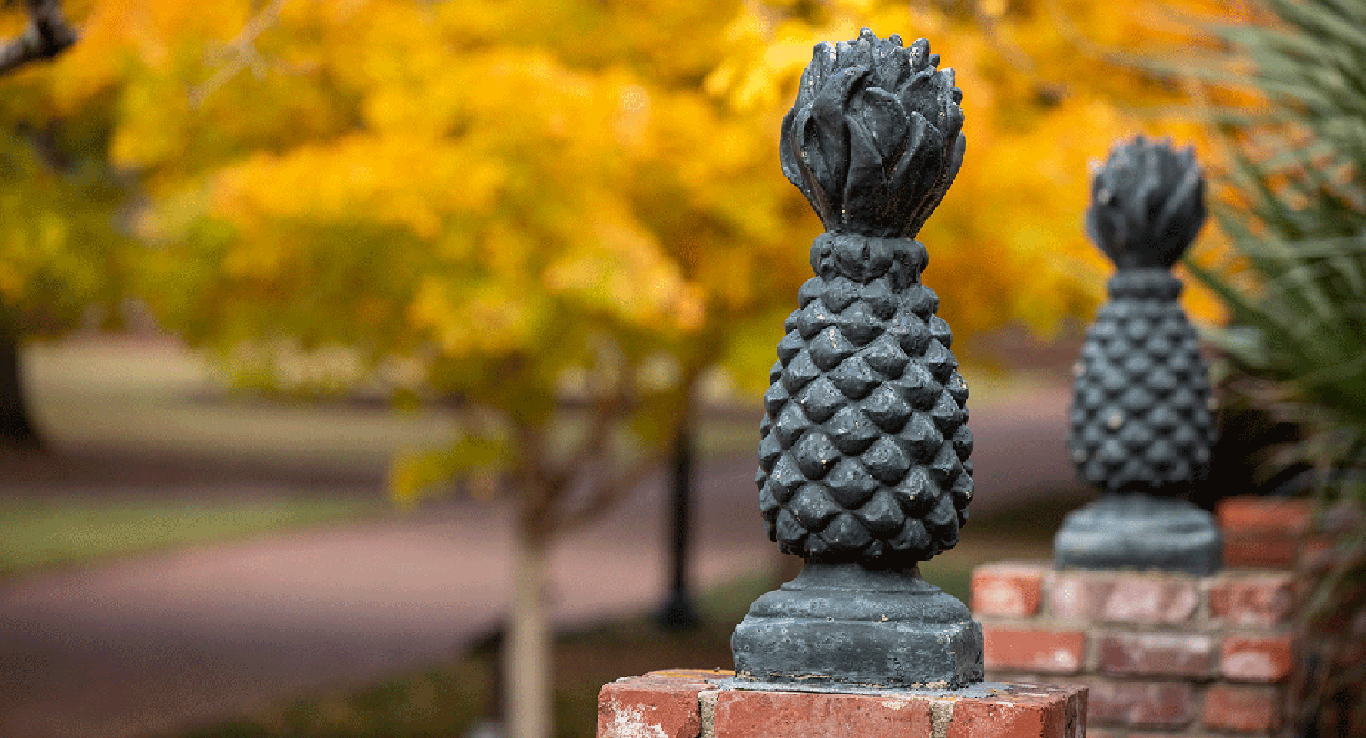 Two pineapple statues on the Horseshoe during the fall