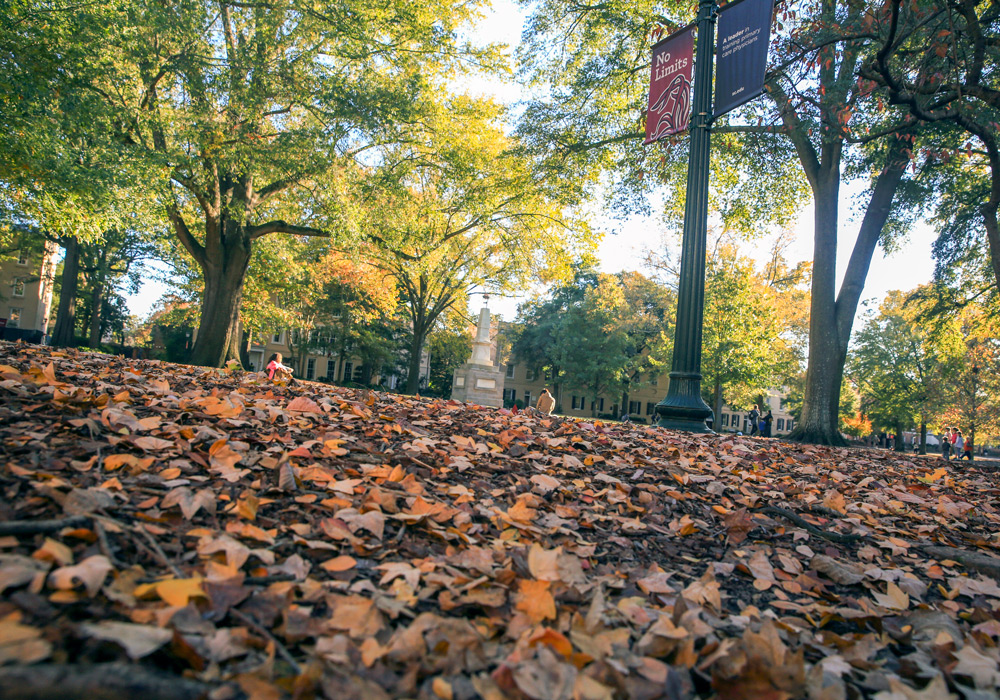 Brown leaves lay on the ground of the historic Horseshoe.