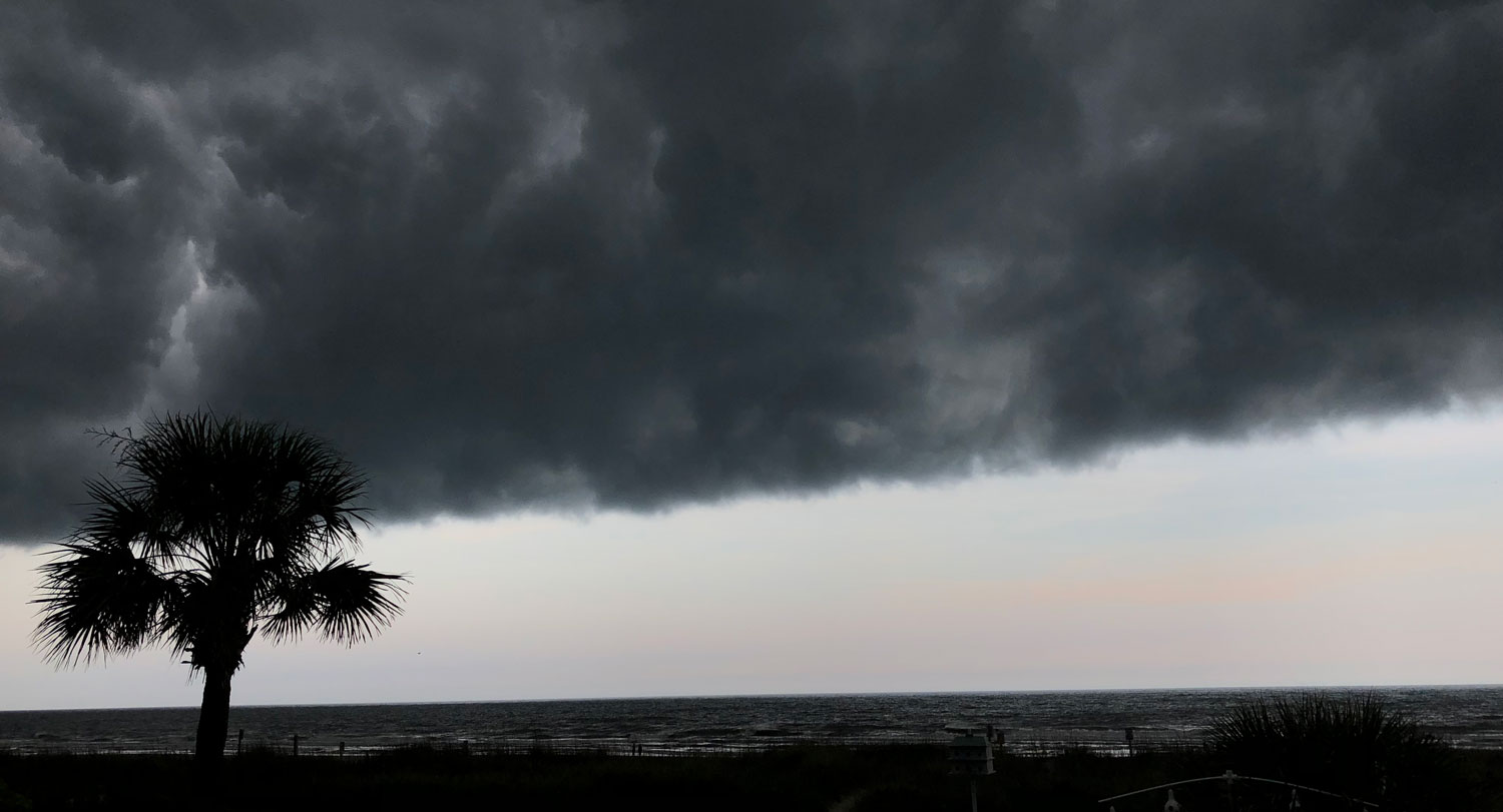 Dark and stormy view of South Carolina coast with palmetto tree.