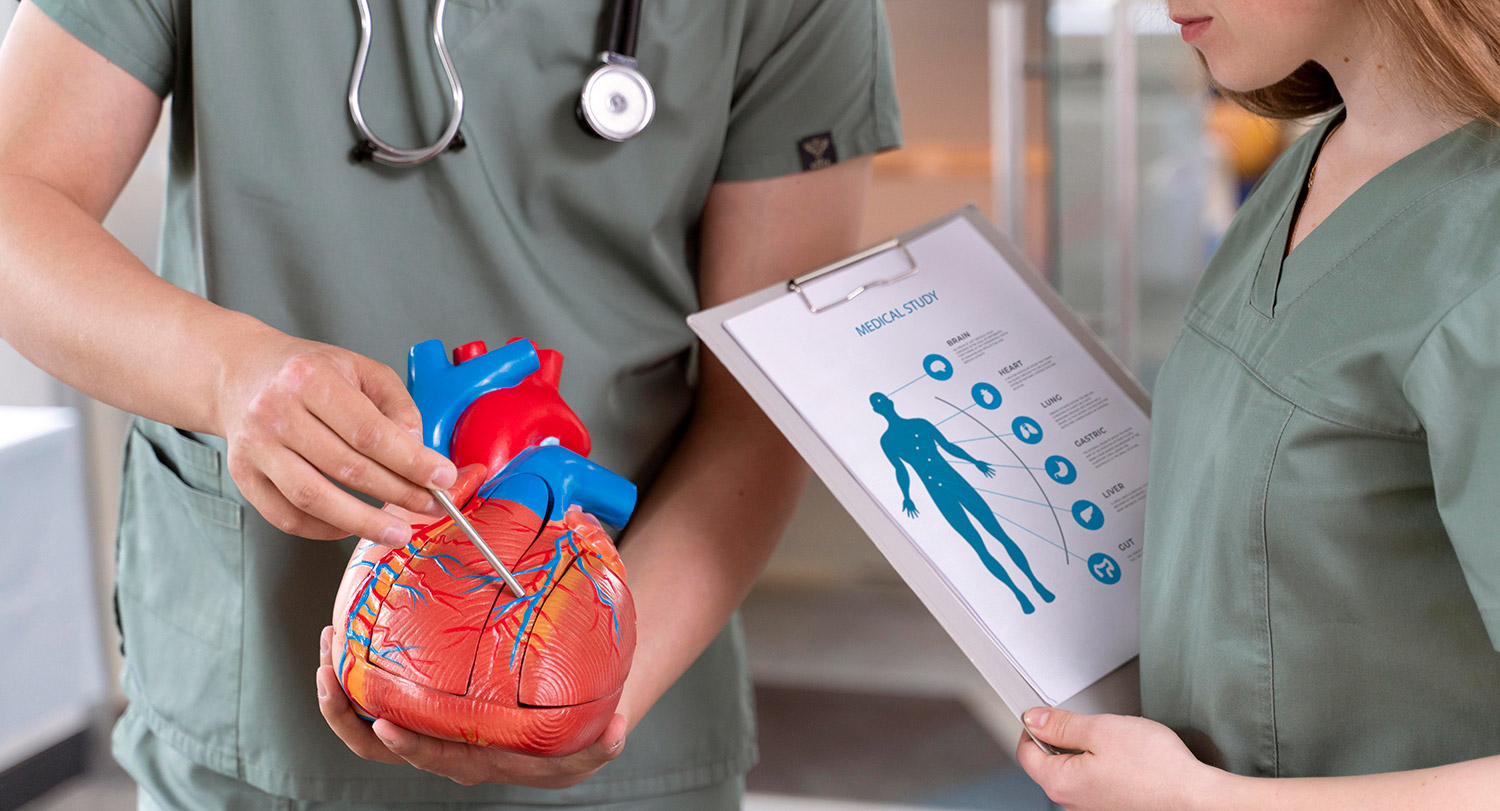 Male medical provider uses pointer on model of human heart neat to female medical provider holding clipboard.