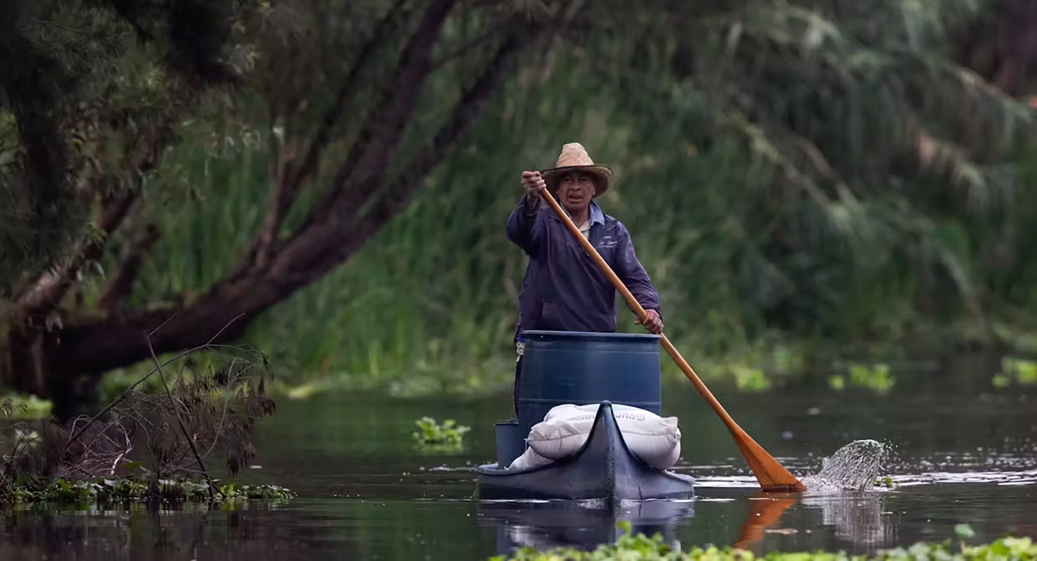 A farmer paddles in a canoe along a canal