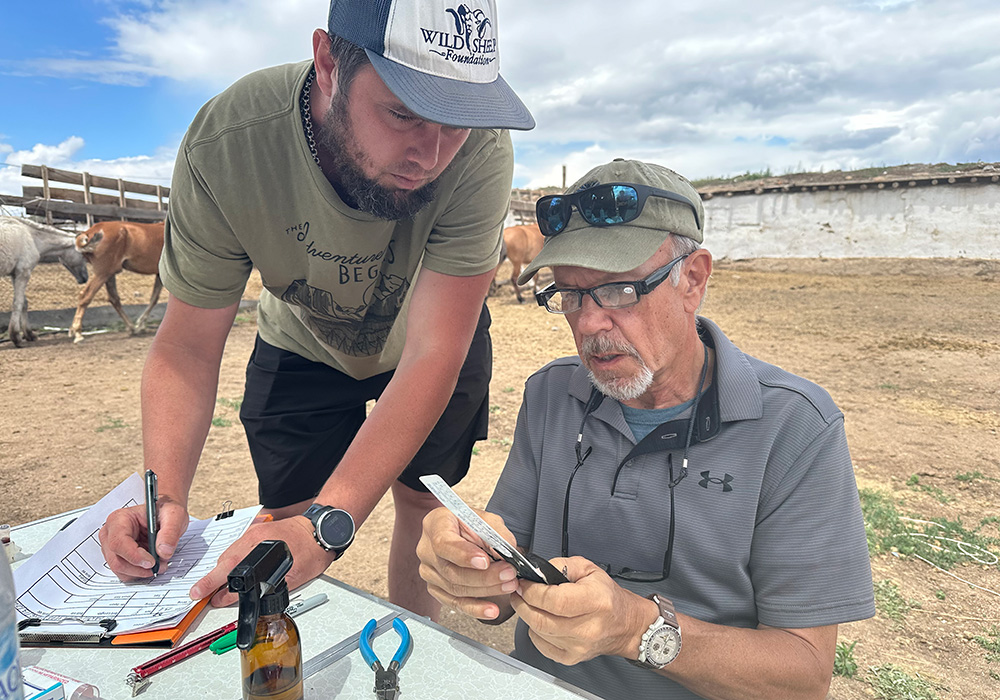 Researchers in the field examine and record collected data