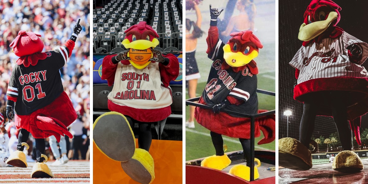 Cocky at different sporting events at the University of South Carolina