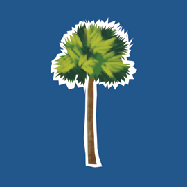 palmetto tree illustration