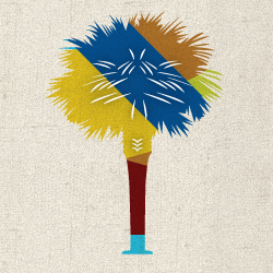 palmetto tree illustration