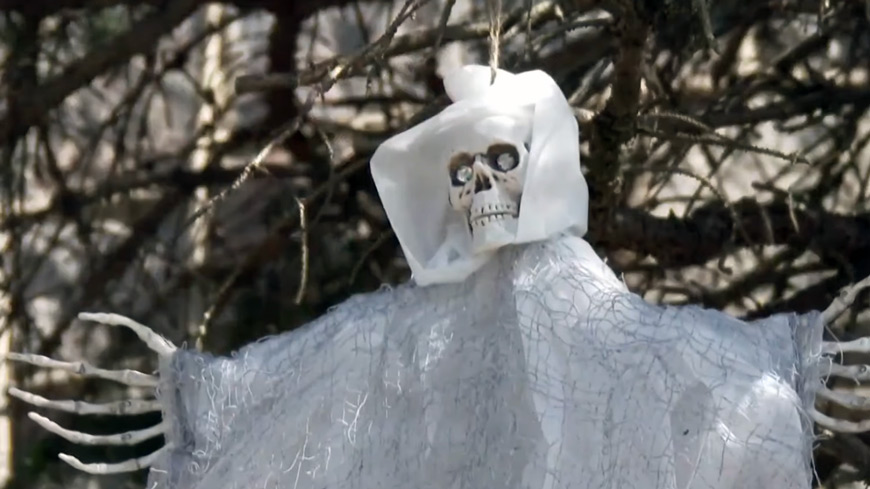 a plastic skeleton is displayed with a sheet covering it