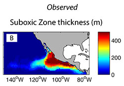 Pacific suboxic zone graphic