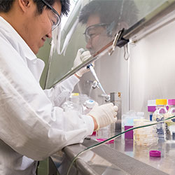 grad student in public health