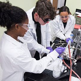 summer camp master scholars