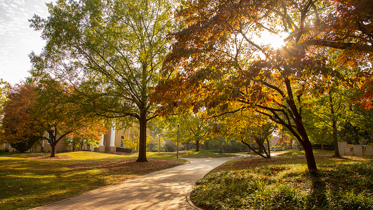 Forging a path - USC News & Events | University of South Carolina