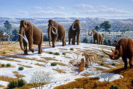 woolly mammoths