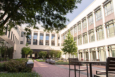 School of Law Courtyard