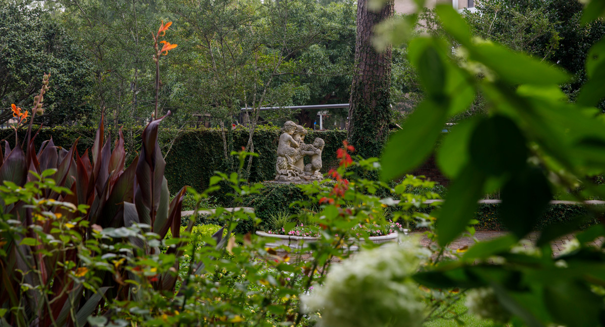 The garden at the Anne Frank Center at UofSC