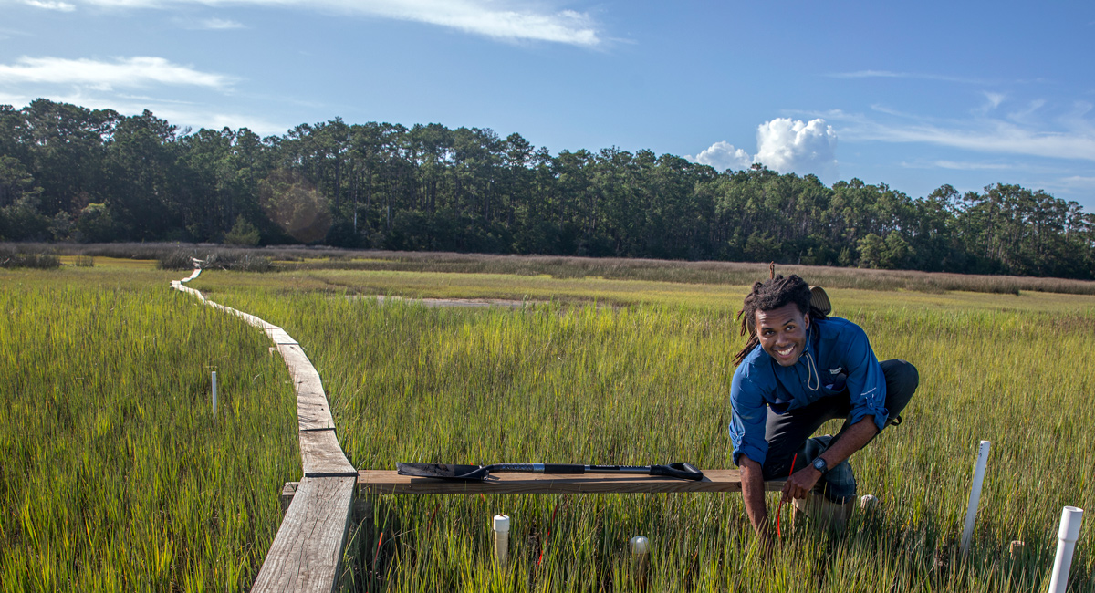 student balances on a narrow walkway through the marsh and checks instruments at a measuring station