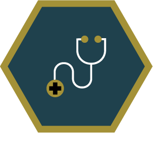Medical stethoscope icon