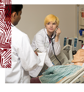 Nursing student leaning over a mannequin listening with a stethoscope. 