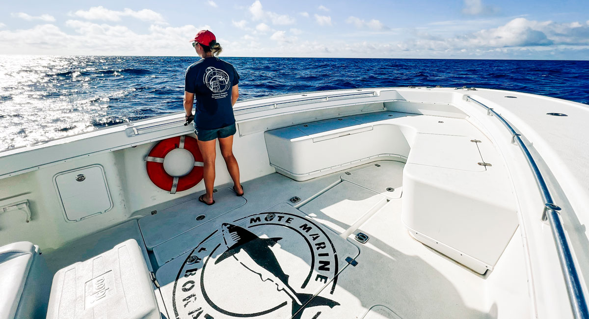 Ana Bishop looks at ocean