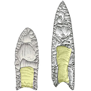 Early Paleo-American Clovis points (left) and Middle Paleo-American redstone points (right) have a distinct fluted shape, highlighted in yellow, likely designed to facilitate hafting onto a spear or knife handle for use in hunting and butchery. Darby Erd