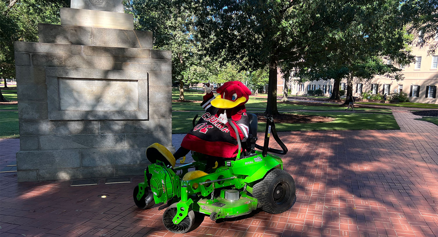 Cocky on the Horseshoe near the Maxcy Monument riding Facilities Services' new green machine mower