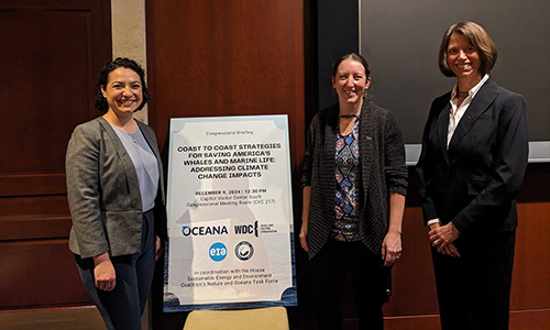 Three women in business wear flank a sign for Congressional Hearing