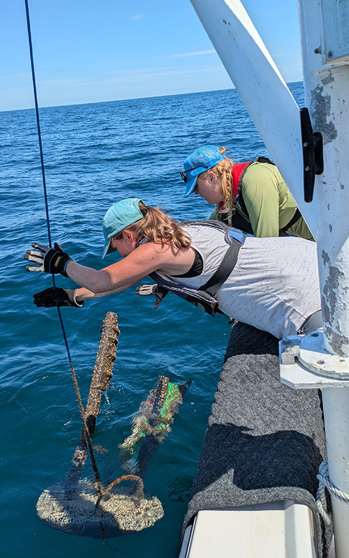 Two researchers on boat lower a sensor into the ocean